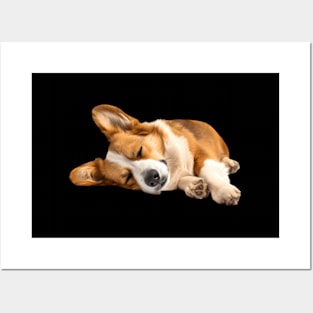 Lazy Pembroke Welsh Corgi Posters and Art